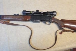 Remington 742 .308win + Bushnell 3-9