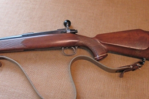 Tikka M65 30-06
