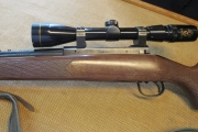 Tikka M65 30-06